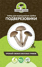 Домашняя грибница в Москве