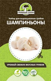 Домашняя грибница в Москве