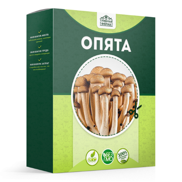 Домашняя грибница в Москве