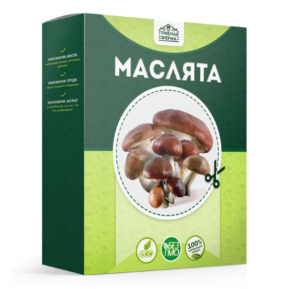 Домашняя грибница в Москве