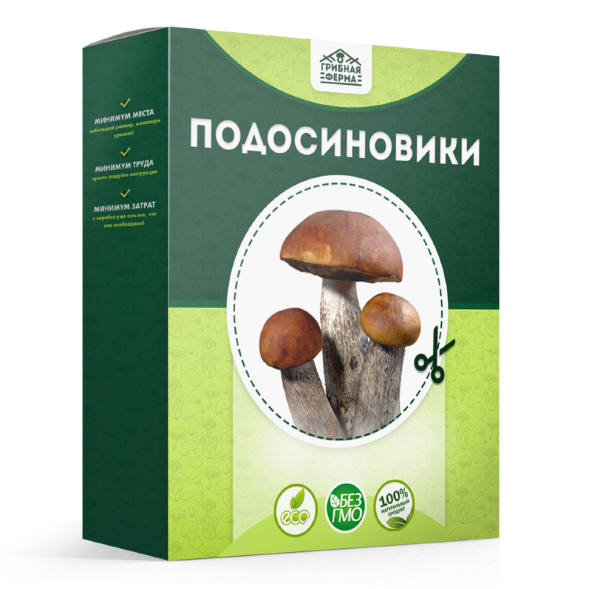 Домашняя грибница в Москве