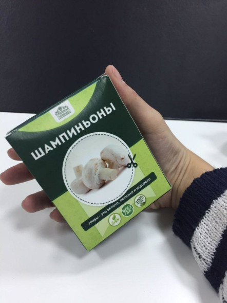 Домашняя грибница в Москве