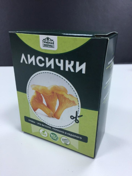 Домашняя грибница в Москве