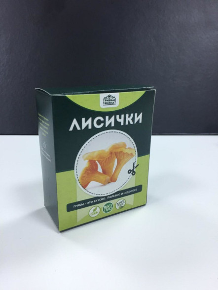 Домашняя грибница в Москве