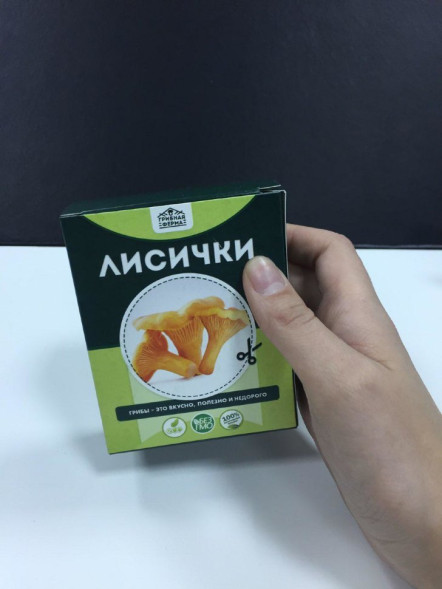 Домашняя грибница в Москве