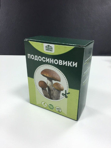 Домашняя грибница в Москве