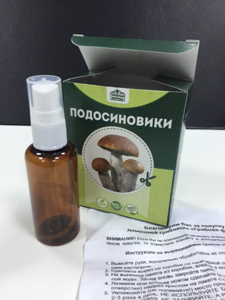 Домашняя грибница в Москве