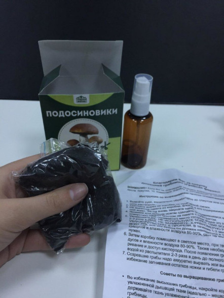 Домашняя грибница в Москве