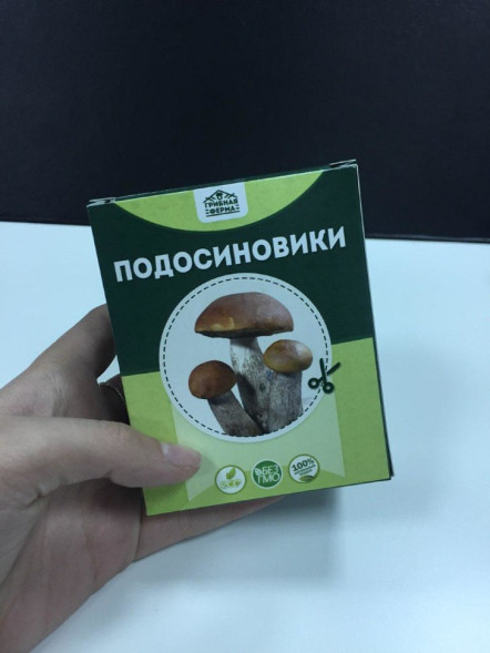 Домашняя грибница в Москве