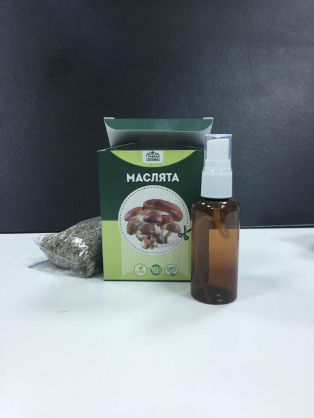 Домашняя грибница в Москве