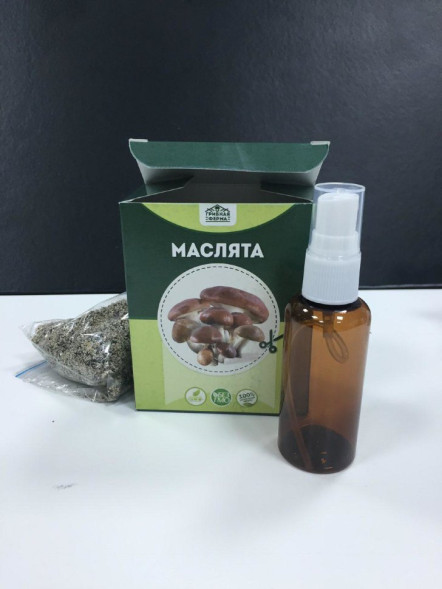 Домашняя грибница в Москве