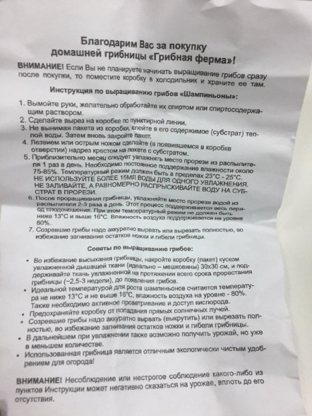 Домашняя грибница в Москве