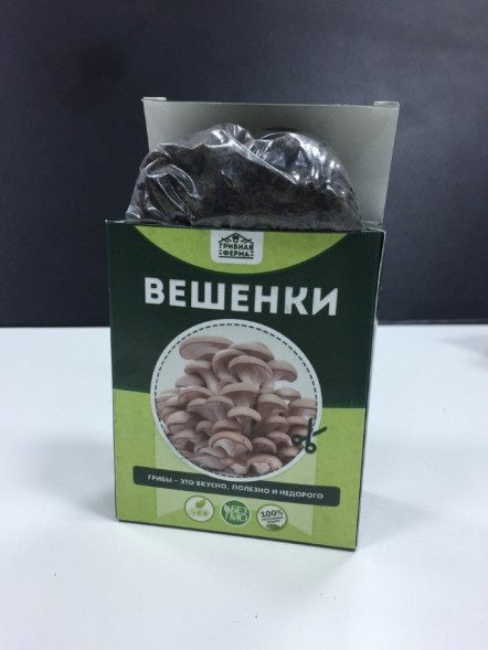 Домашняя грибница в Москве