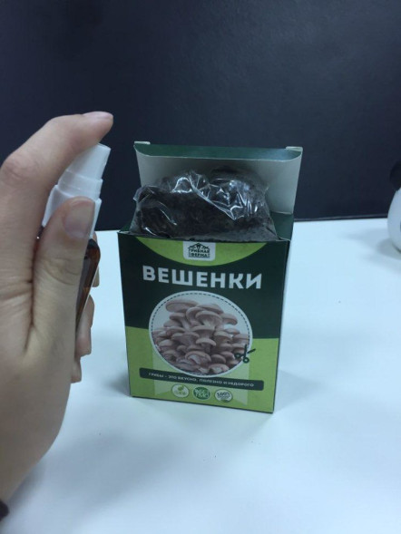 Домашняя грибница в Москве