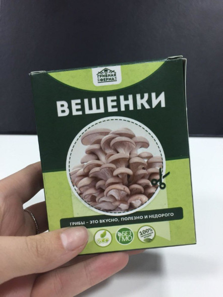 Домашняя грибница в Москве