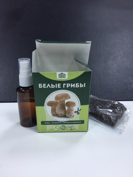 Домашняя грибница в Москве