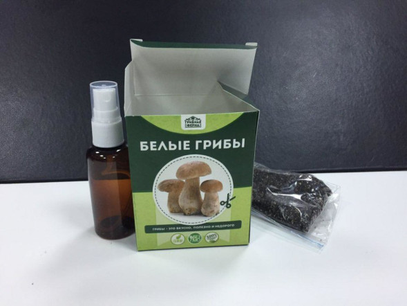 Домашняя грибница в Москве