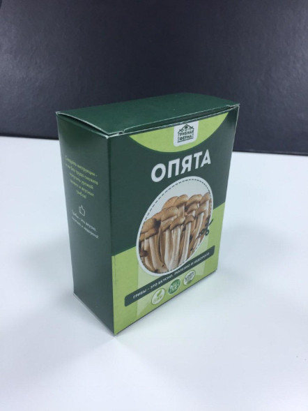Домашняя грибница в Москве