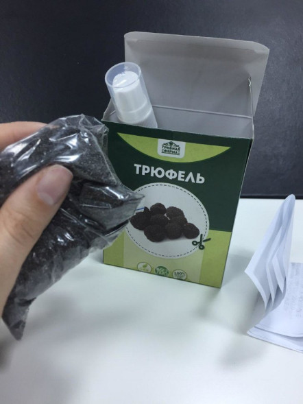 Домашняя грибница в Москве