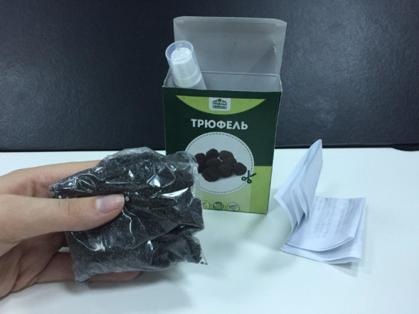 Домашняя грибница в Москве