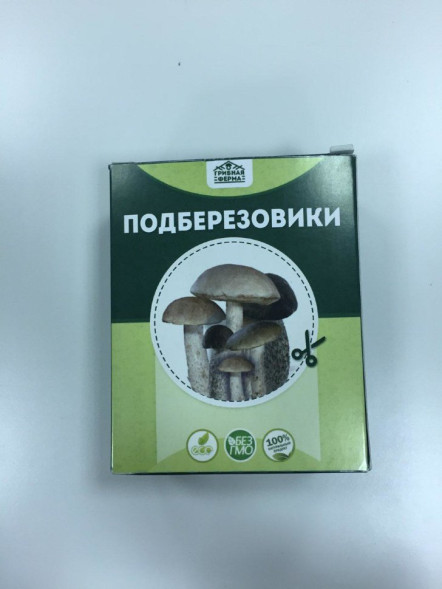 Домашняя грибница в Москве