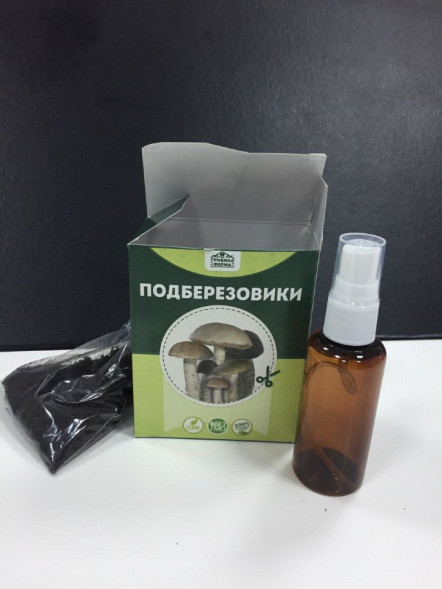 Домашняя грибница в Москве