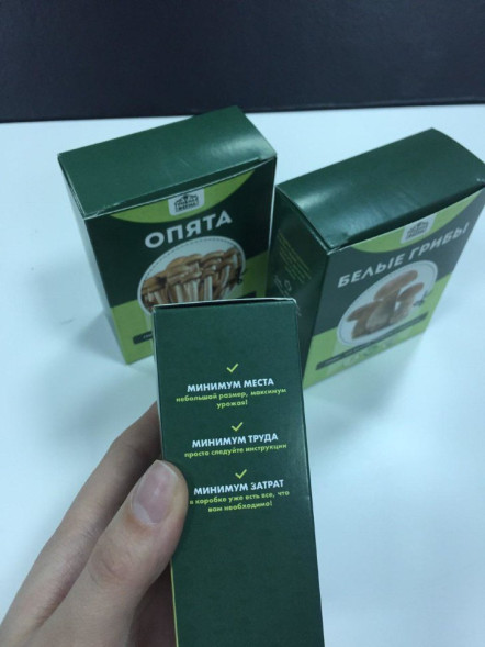 Домашняя грибница в Москве