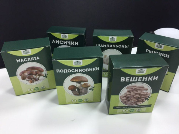 Домашняя грибница в Москве