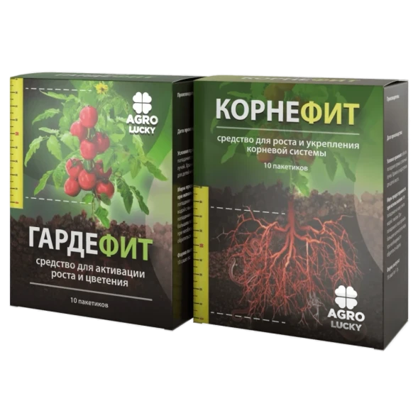 Корнефит и Гардефит в Кирове