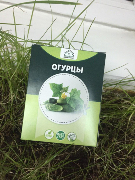 Домашняя мини-ферма в Москве