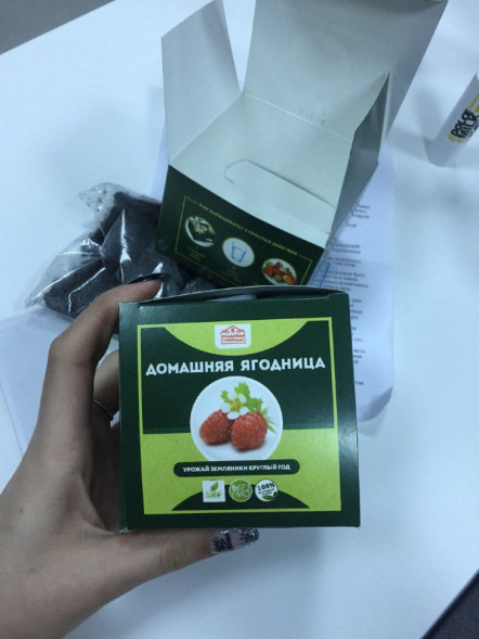 Домашняя ягодница в Москве