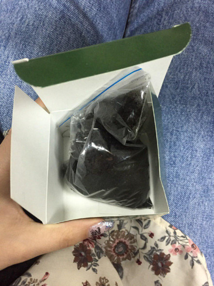 Домашняя ягодница в Москве