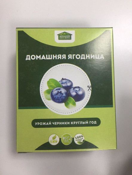 Домашняя ягодница в Москве