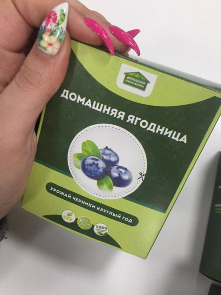 Домашняя ягодница в Москве
