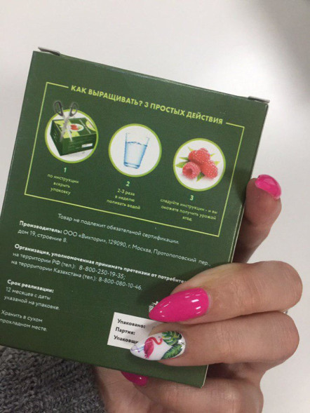 Домашняя ягодница в Москве