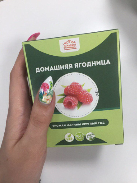 Домашняя ягодница в Москве