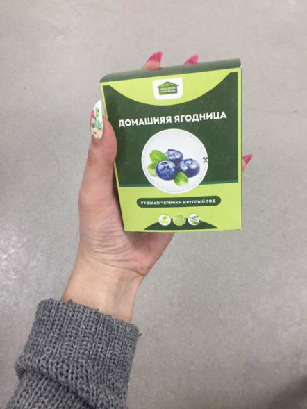 Домашняя ягодница в Москве