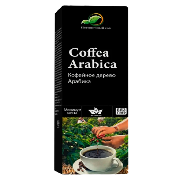 Мини-деревья Coffea Arabica в Москве