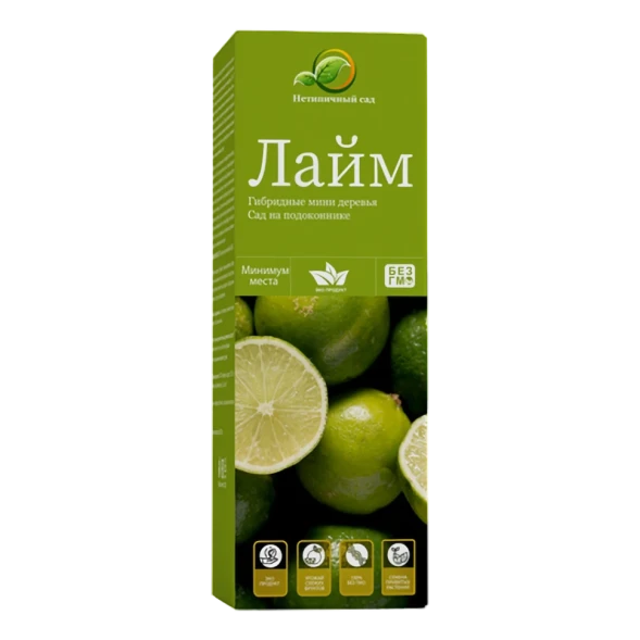 Мини-деревья Лайм в Москве