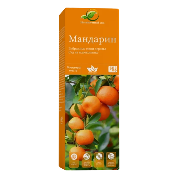 Мини-деревья Мандарин в Кирове