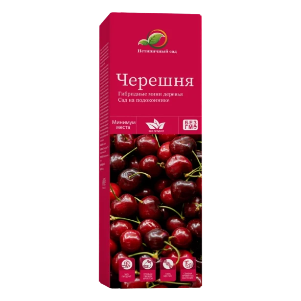 Мини-деревья Черешня в Кирове