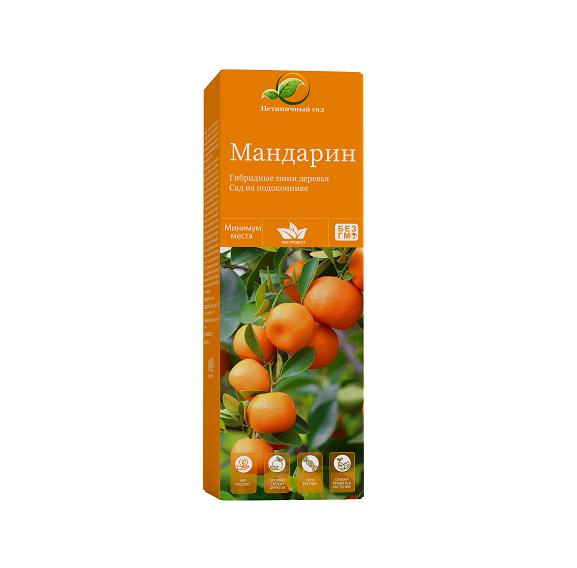 Мини-деревья Мандарин в Москве