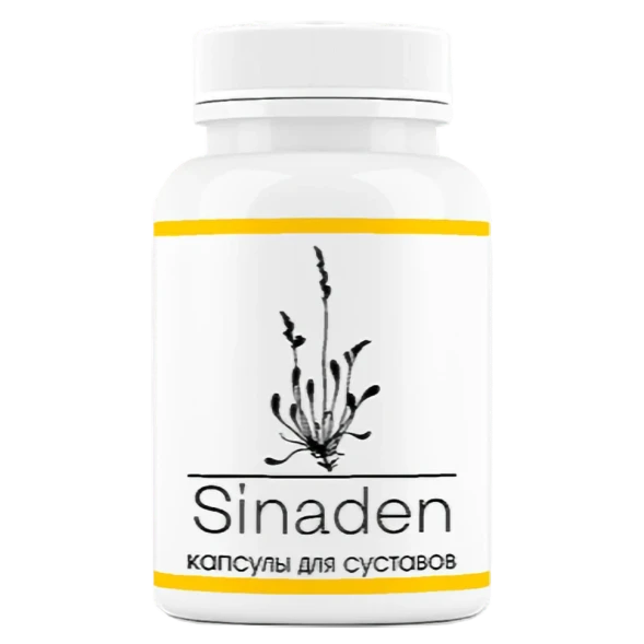 Sinaden в Москве