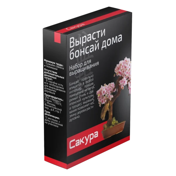 Набор для выращивания Бонсай в Москве