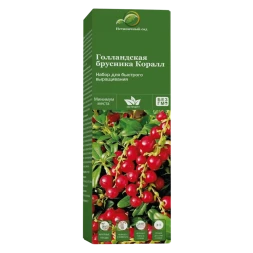 Набор для выращивания Брусники Коралл