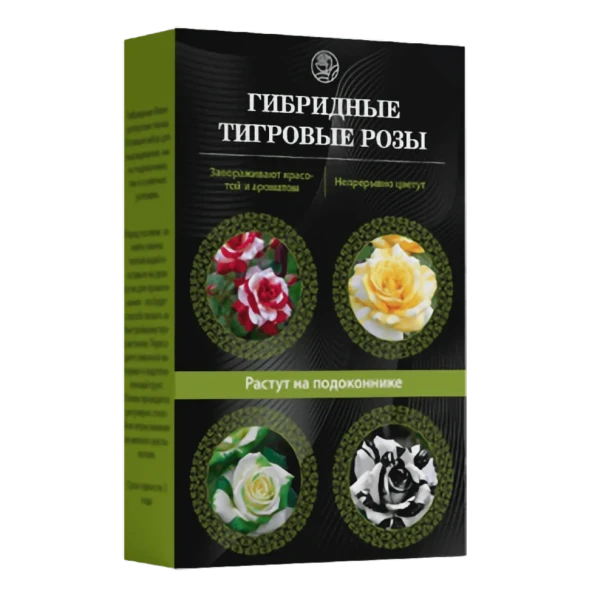 Тигровые розы в Москве