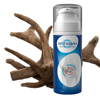 Артонин в Москве