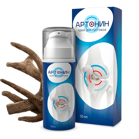 Артонин в Москве